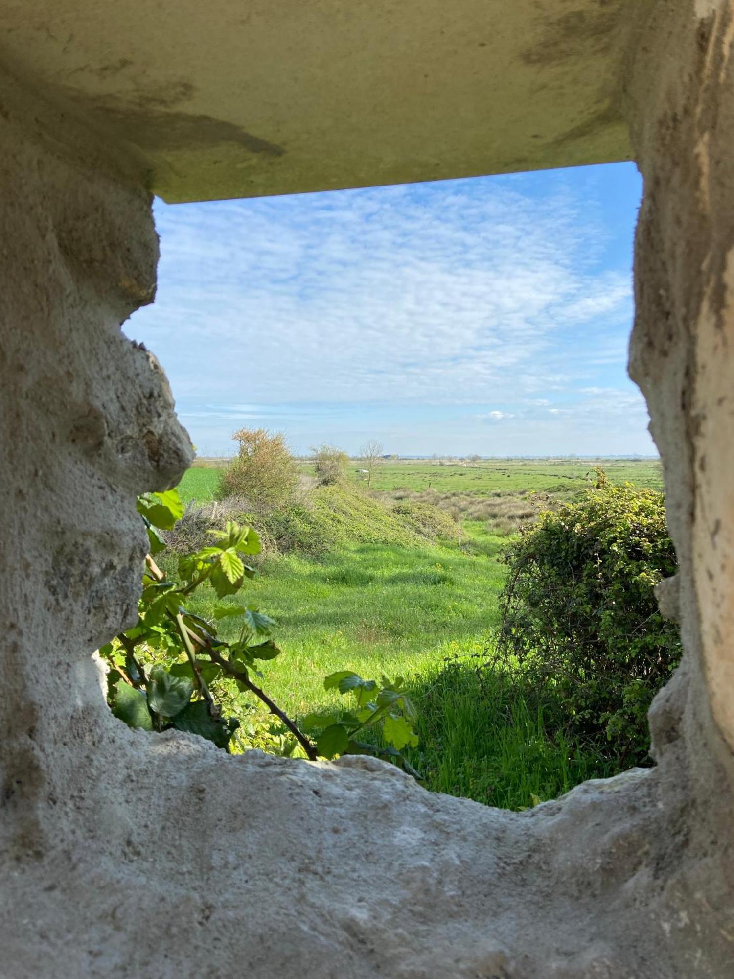 Chateau De Feusse Saint-Just-Luzac Zewnętrze zdjęcie